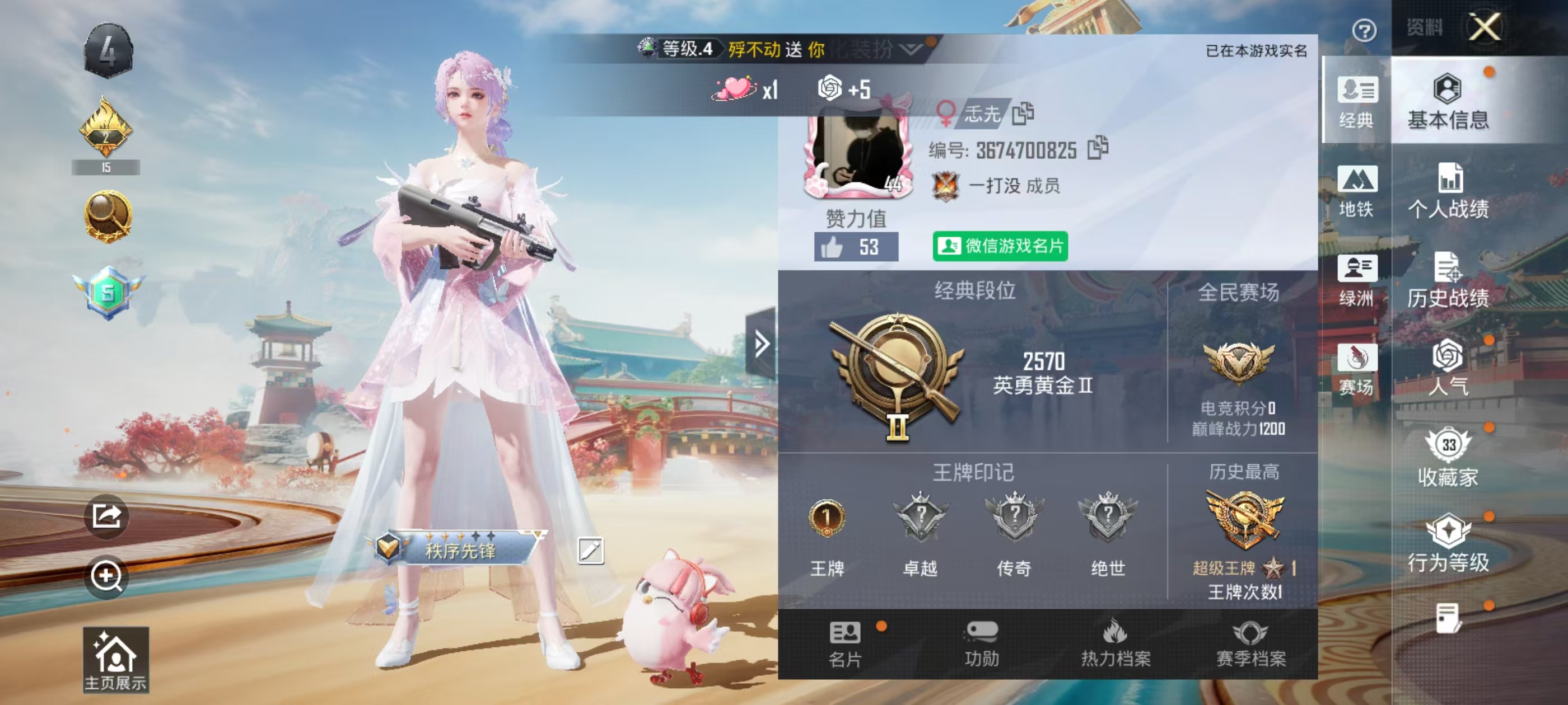 HPCMW4137846和平精英账号详情图3