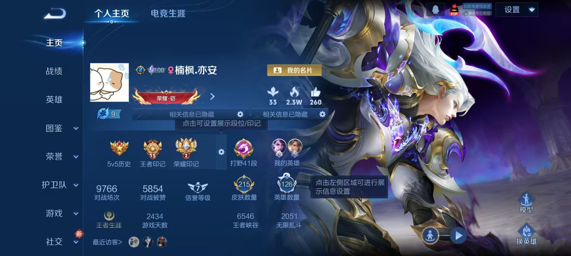 WZCMW4249477王者荣耀账号详情图2