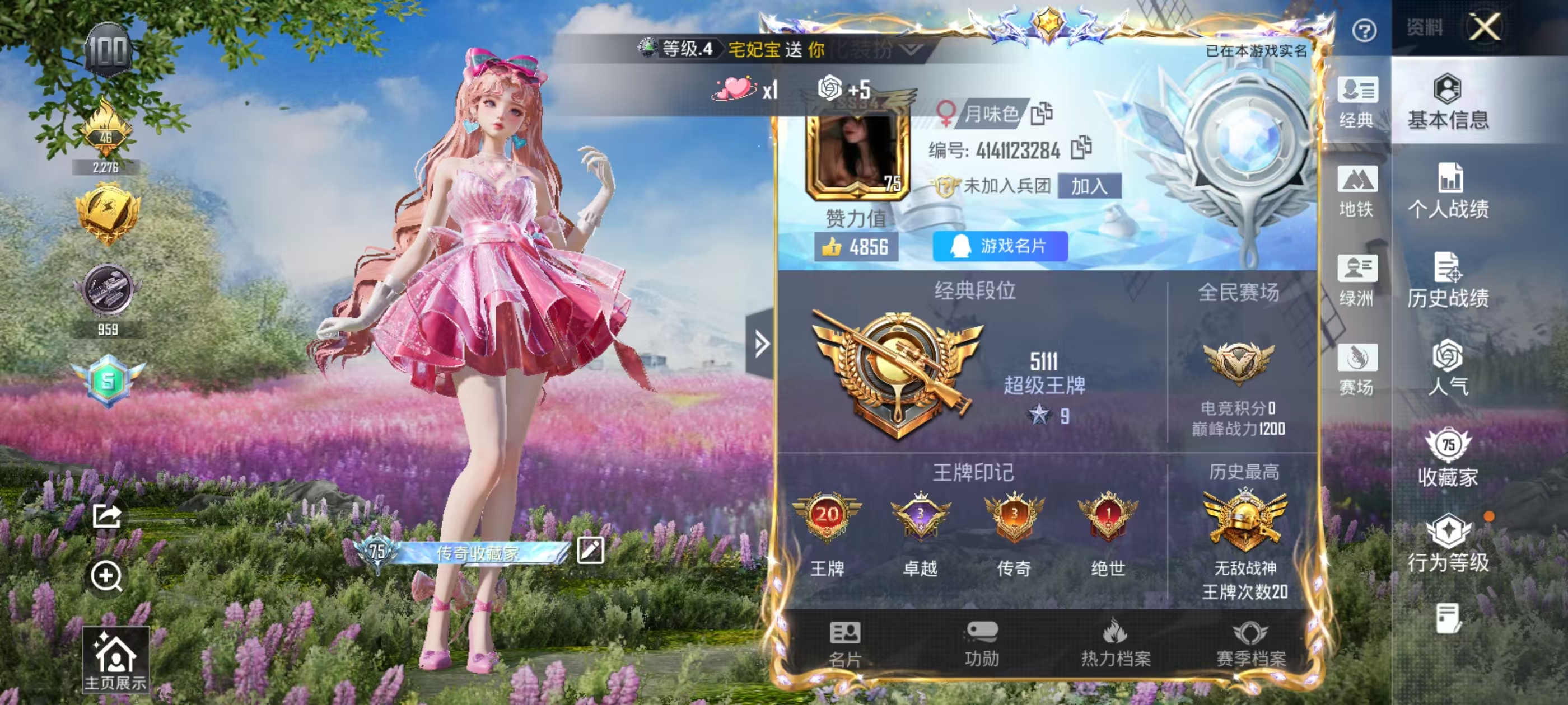 HPSJ4133790和平精英账号详情图3