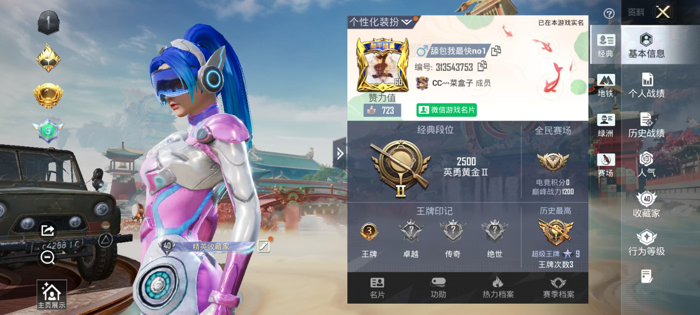 HPSJ4135765和平精英账号详情图3