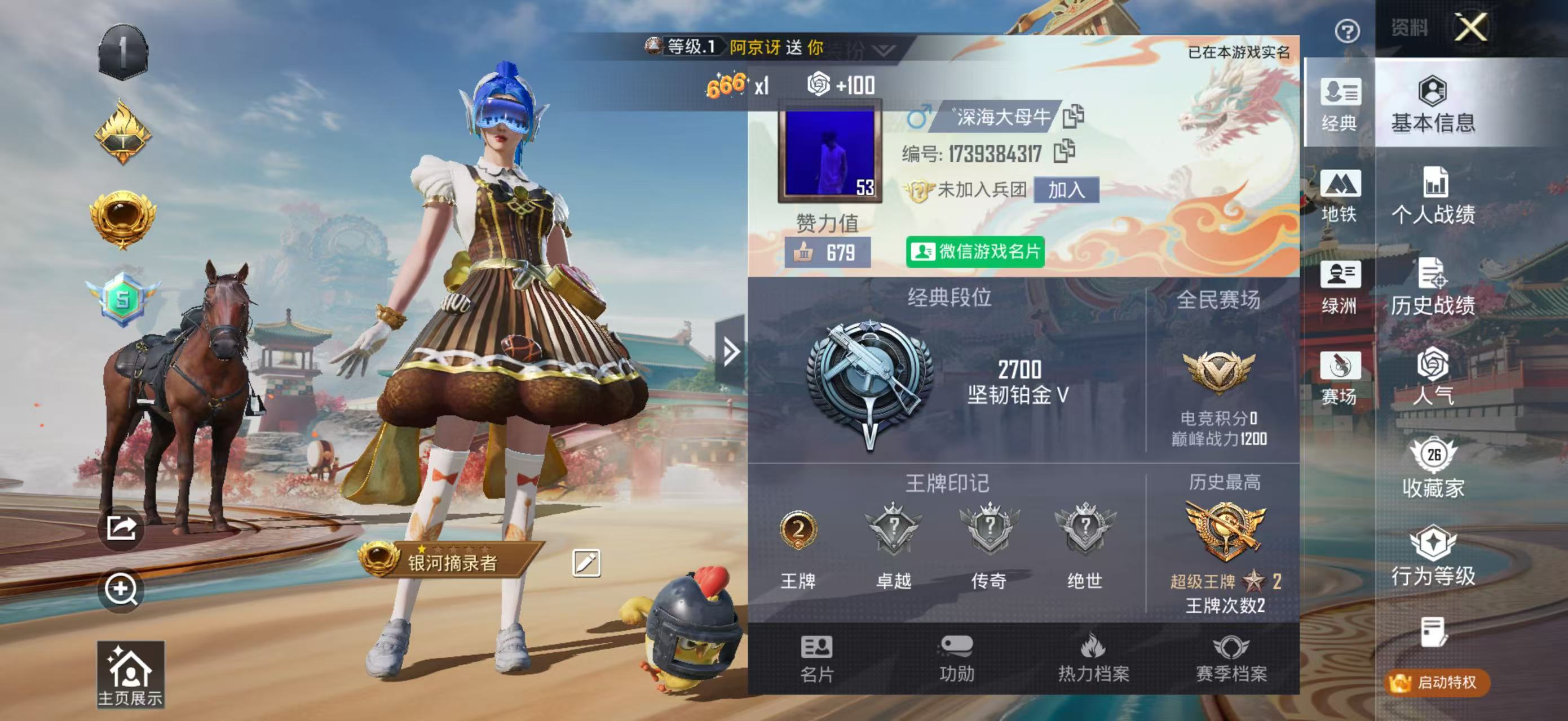 HPSJ4135331和平精英账号详情图3 HPSJ4135331和平精英账号详情图3