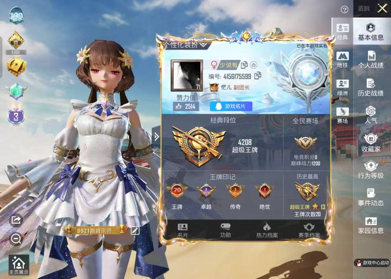 HPSJ4135316和平精英账号详情图3