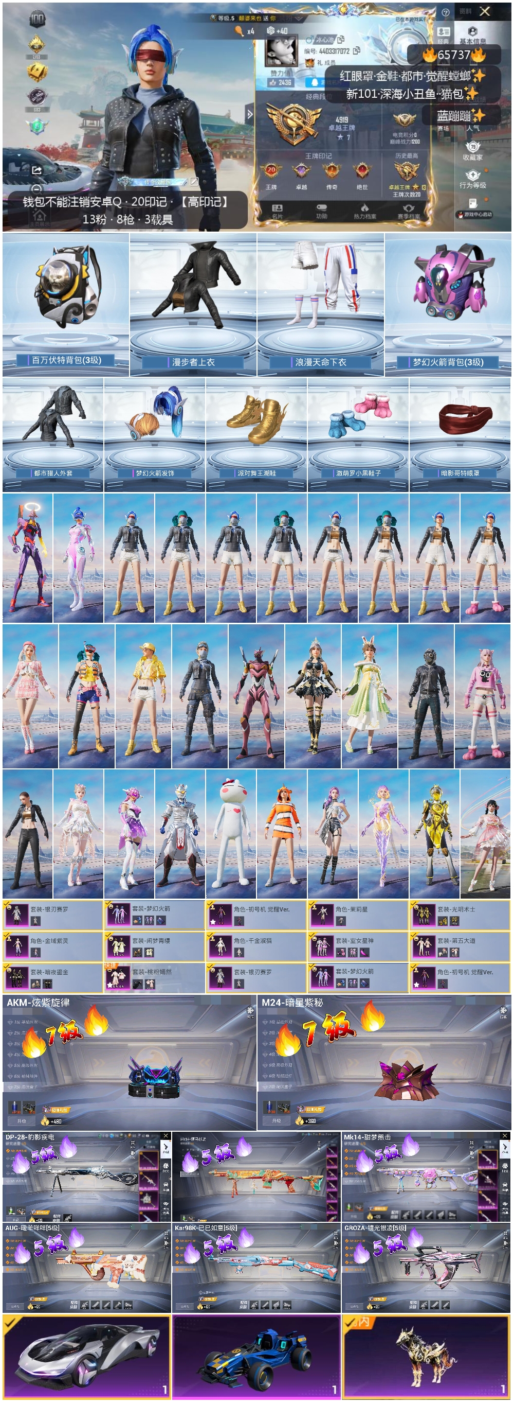 HPSJ4135546和平精英账号详情图4