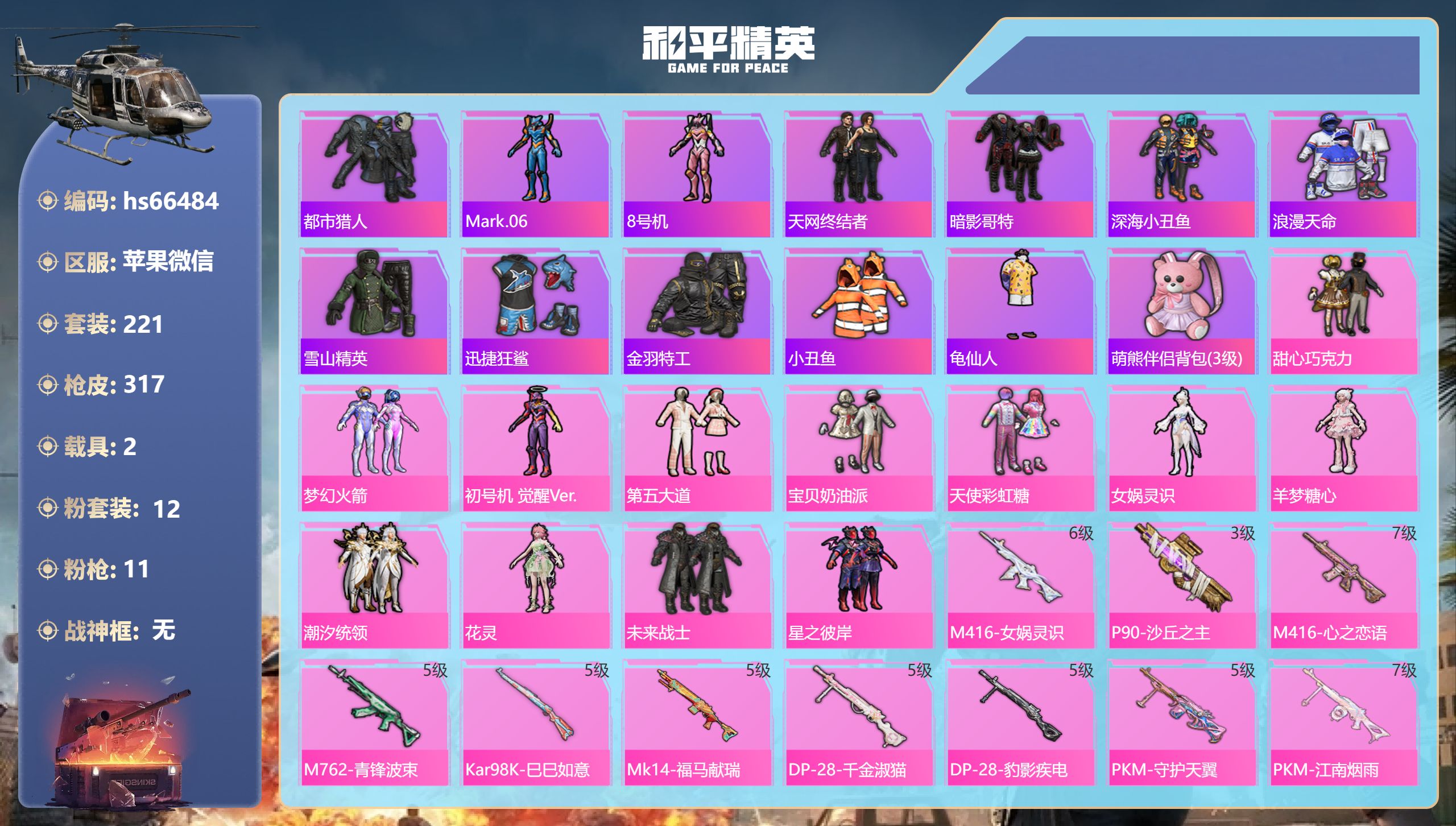 和平精英账号苹果微信hs66484 苹果微信-10王牌印记-12粉装-11特效枪-2载具-热力值-221套装-317枪皮
