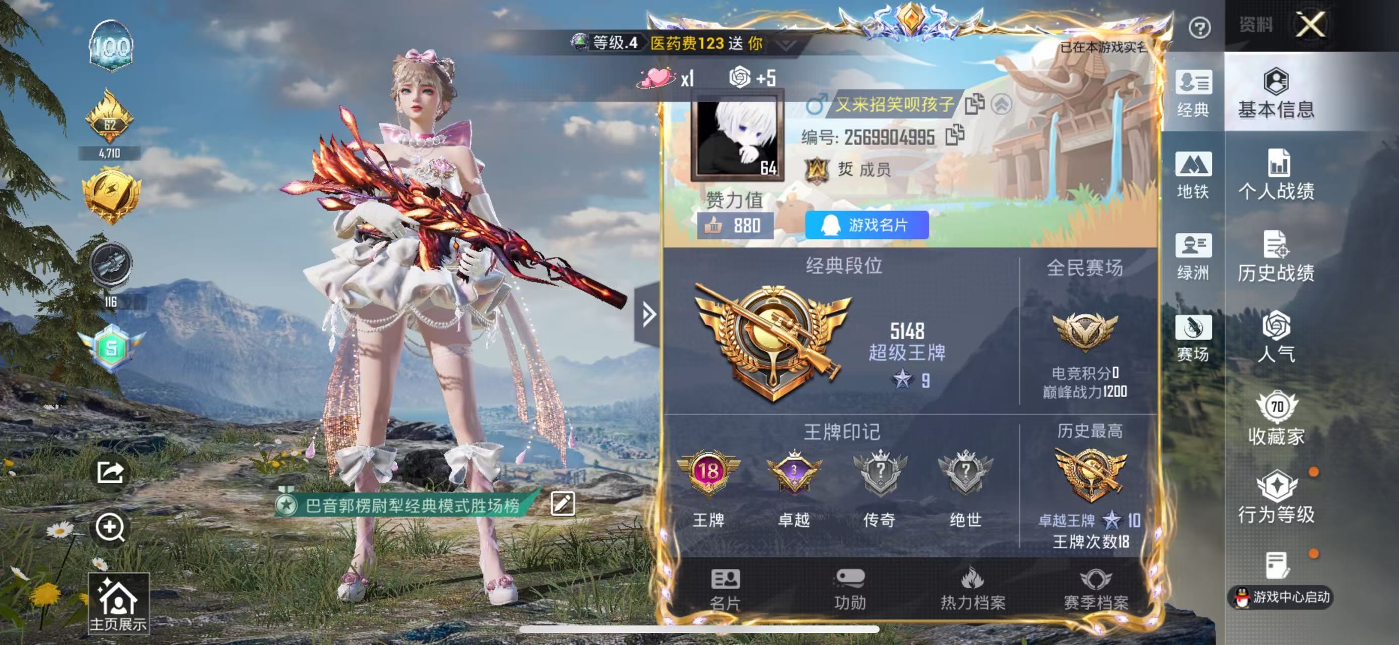 HPSJ4137253和平精英账号详情图3 HPSJ4137253和平精英账号详情图3