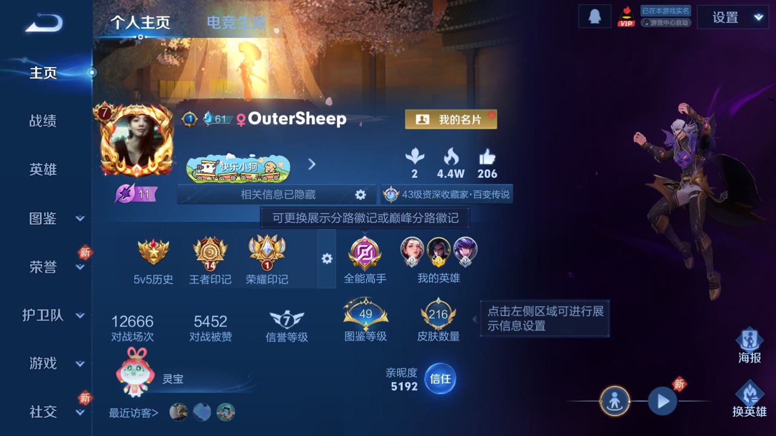 WZLX4253466王者荣耀账号详情图2