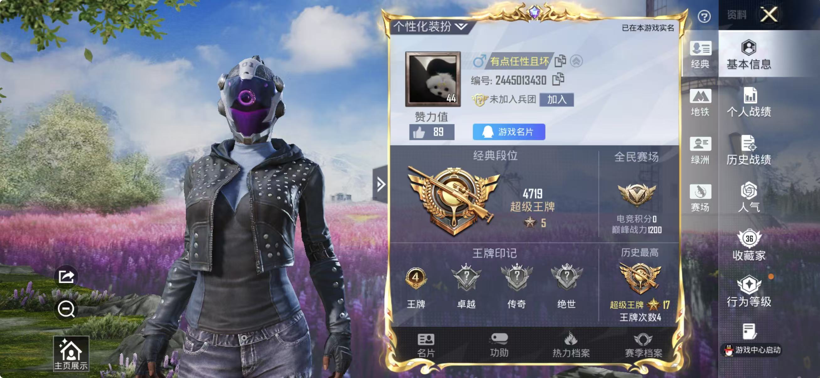 HPSJ4138389和平精英账号详情图3