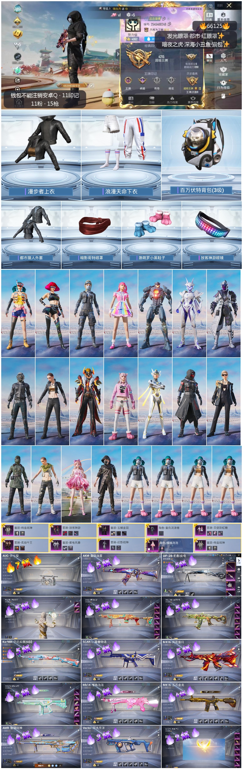 HPSJ4140312和平精英账号详情图4