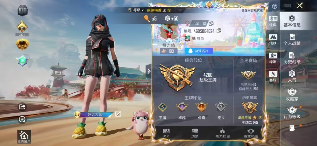 HPSJ4140558和平精英账号详情图3