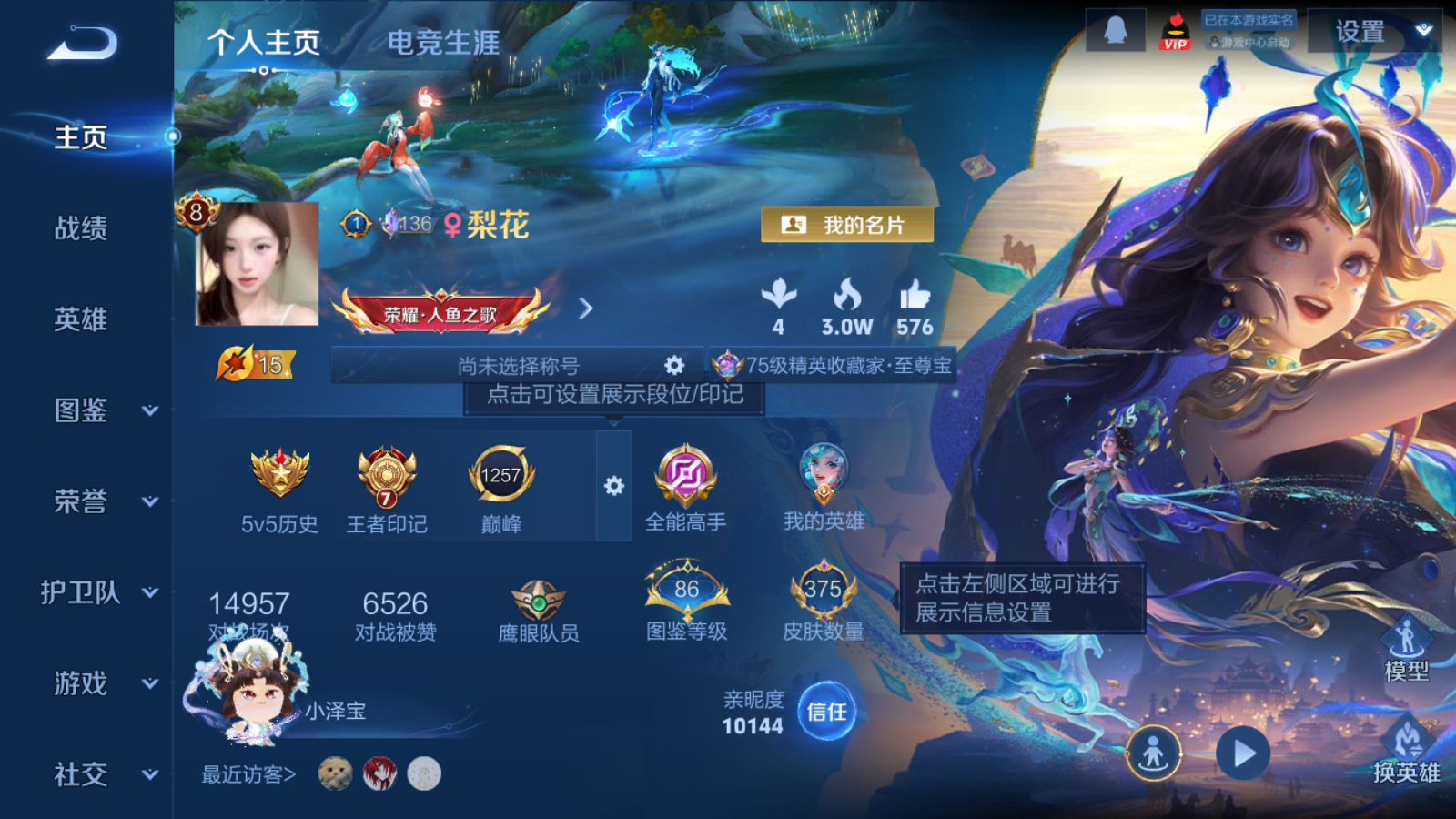 WZCMW4273425王者荣耀账号详情图3