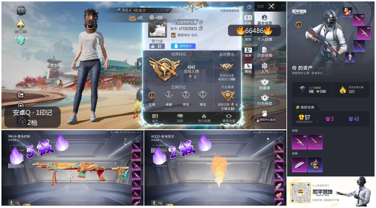 HPSJ4142007和平精英账号详情图4