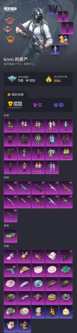 HPCMW4142765和平精英账号详情图54