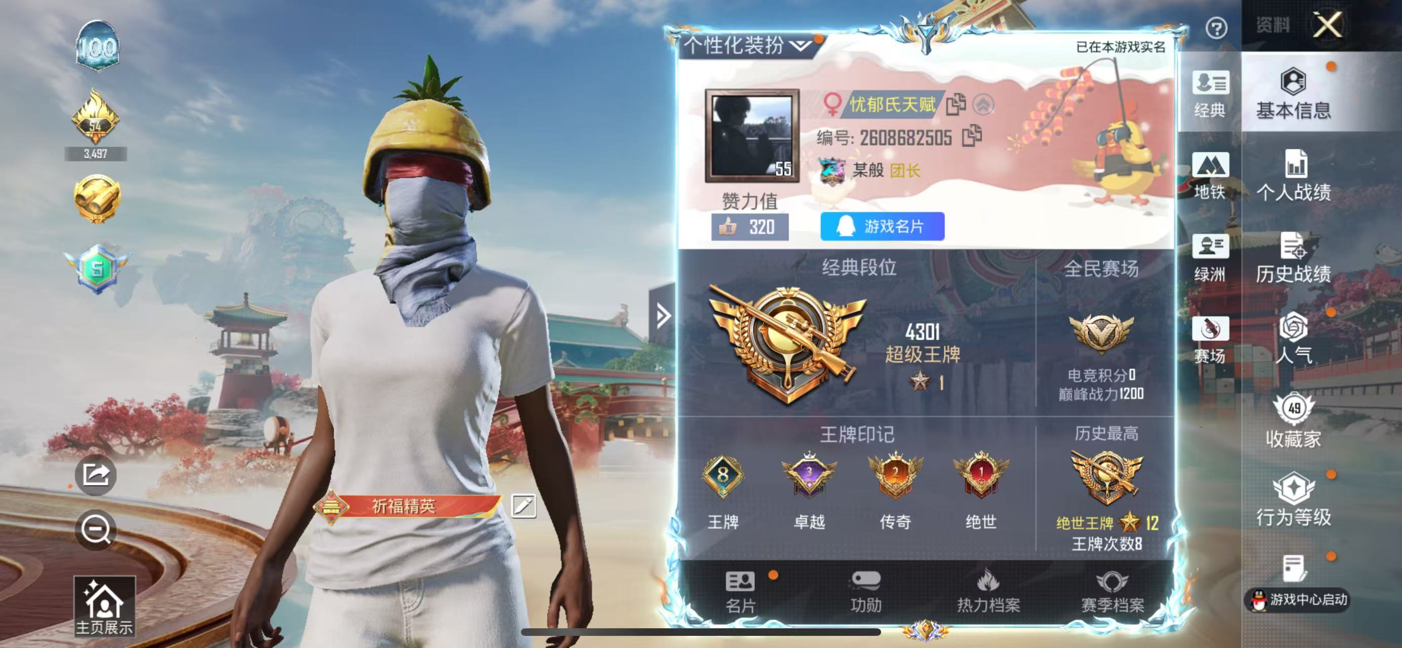 HPSJ4142113和平精英账号详情图3