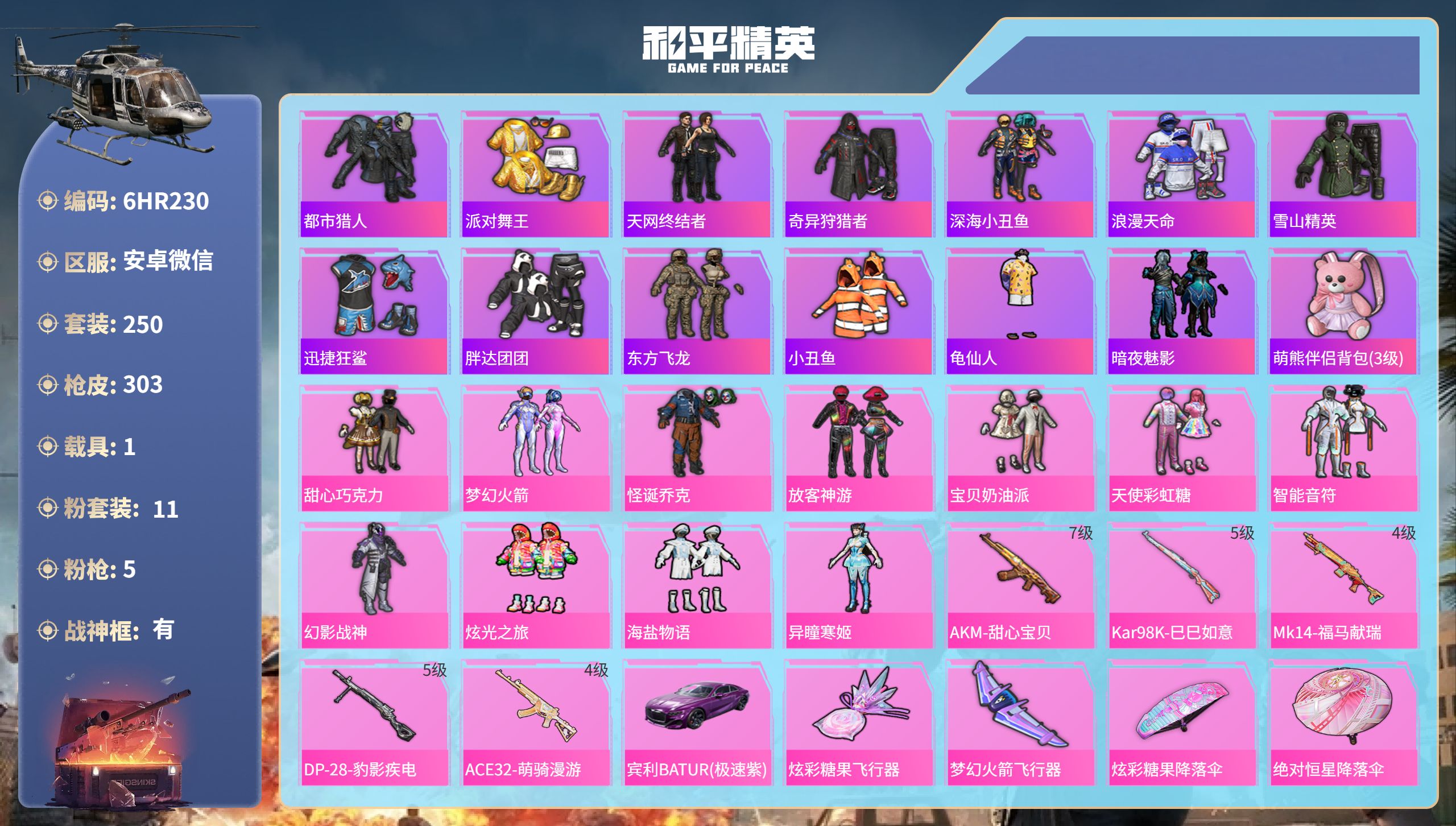 和平精英账号安卓微信1载具-250套装-303枪皮-6HR230 成长不可修改 永久限制 安卓微信-15王牌印记-有战神