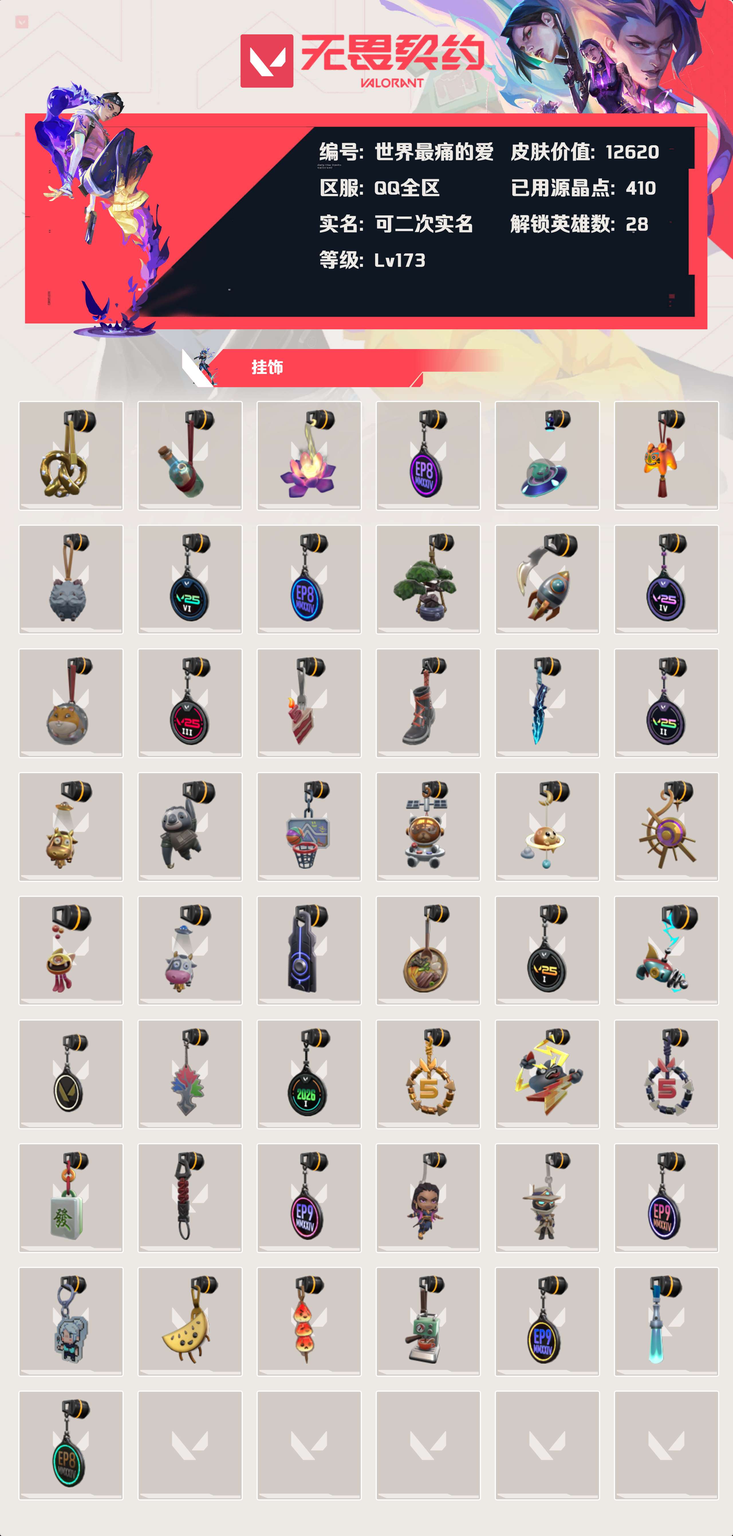 WWQLX425293无畏契约账号详情图4