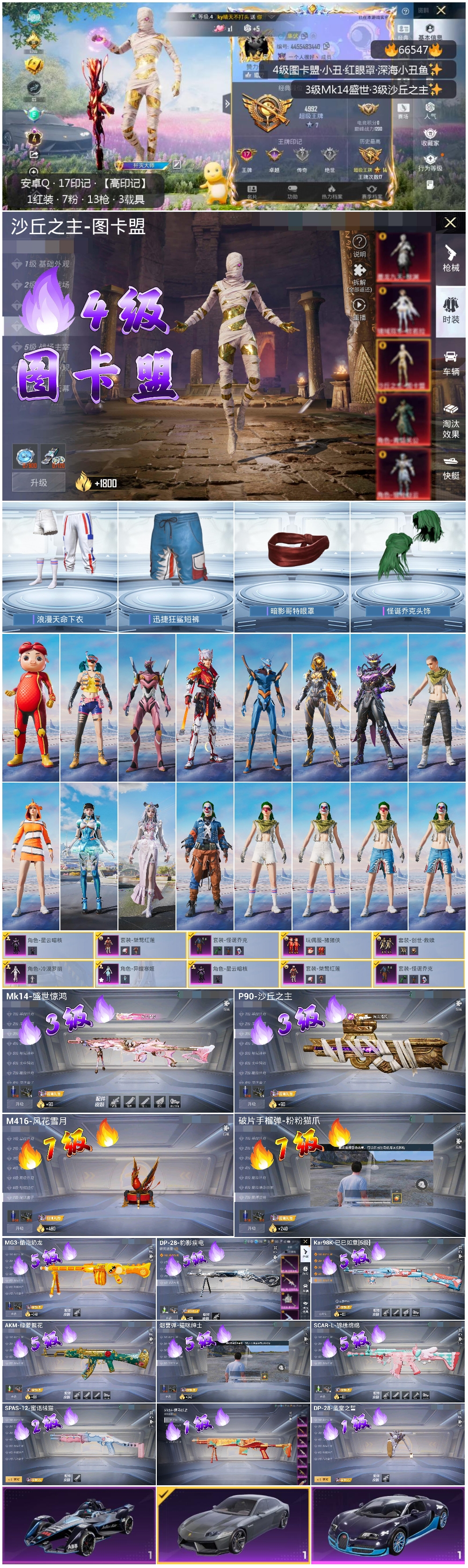 HPSJ4143676和平精英账号详情图4 HPSJ4143676和平精英账号详情图4