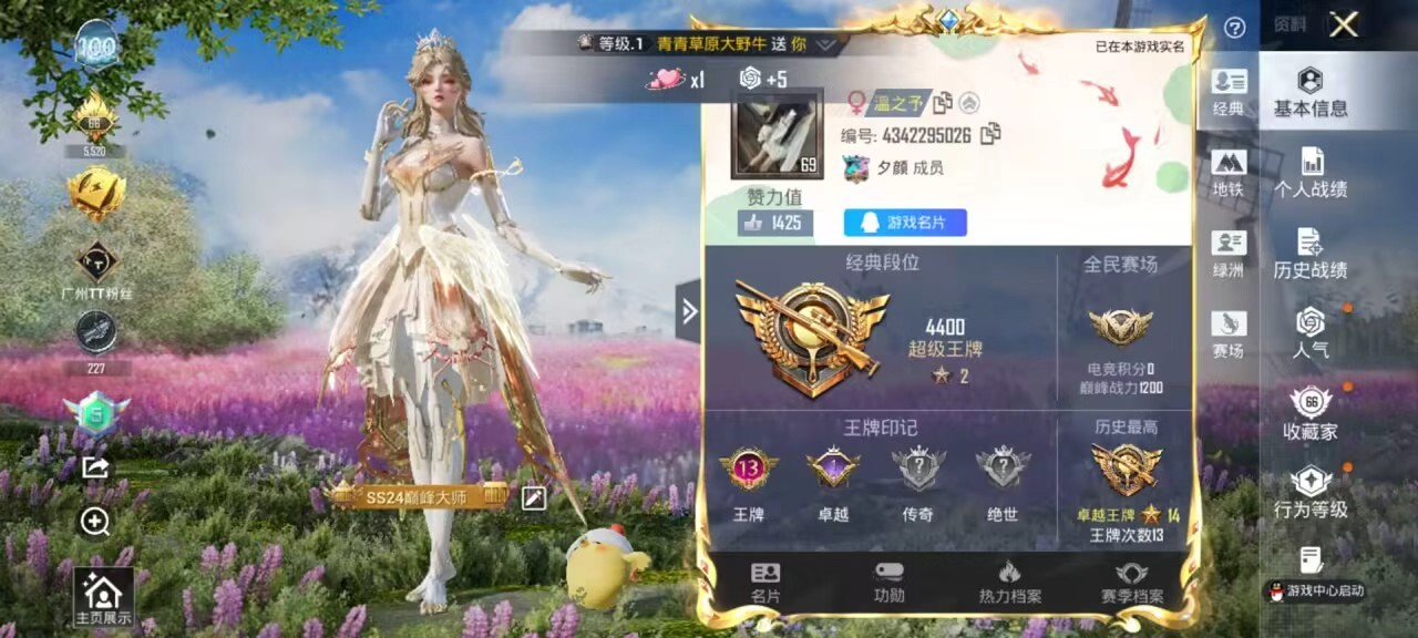 HPSJ4143275和平精英账号详情图3