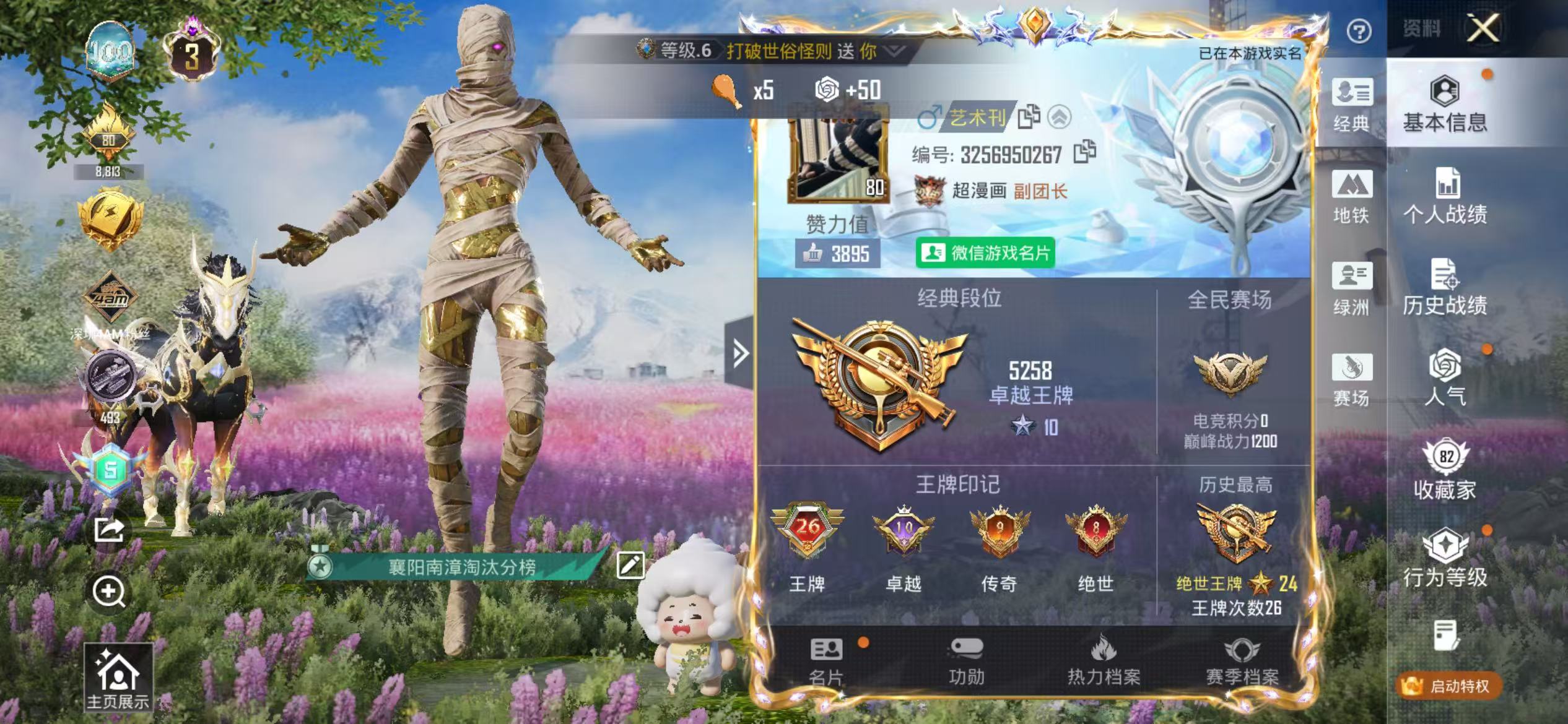 HPSJ4145264和平精英账号详情图3 HPSJ4145264和平精英账号详情图3