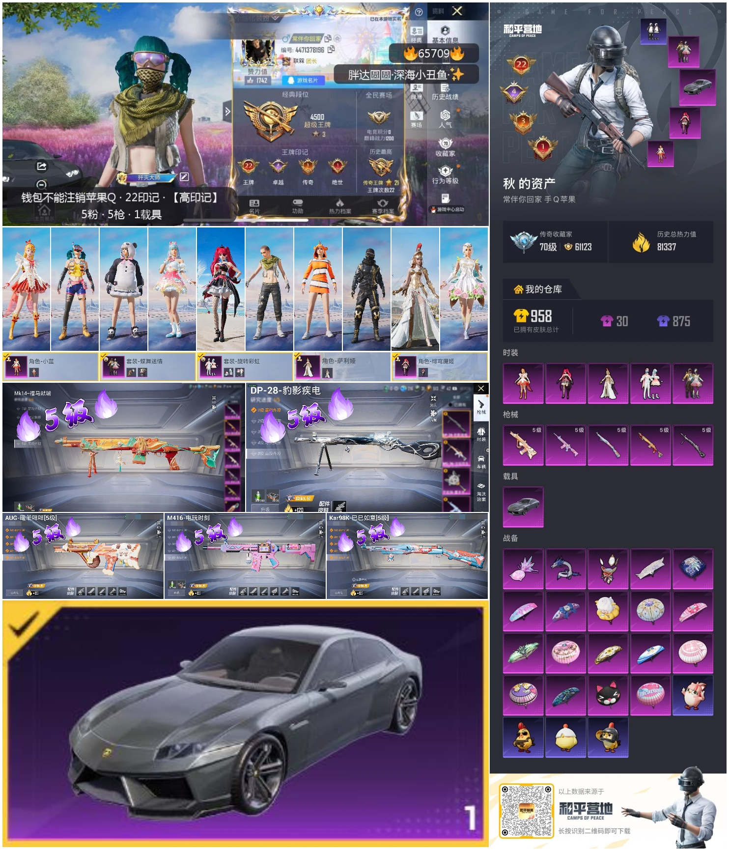 HPSJ4145639和平精英账号详情图4 HPSJ4145639和平精英账号详情图4