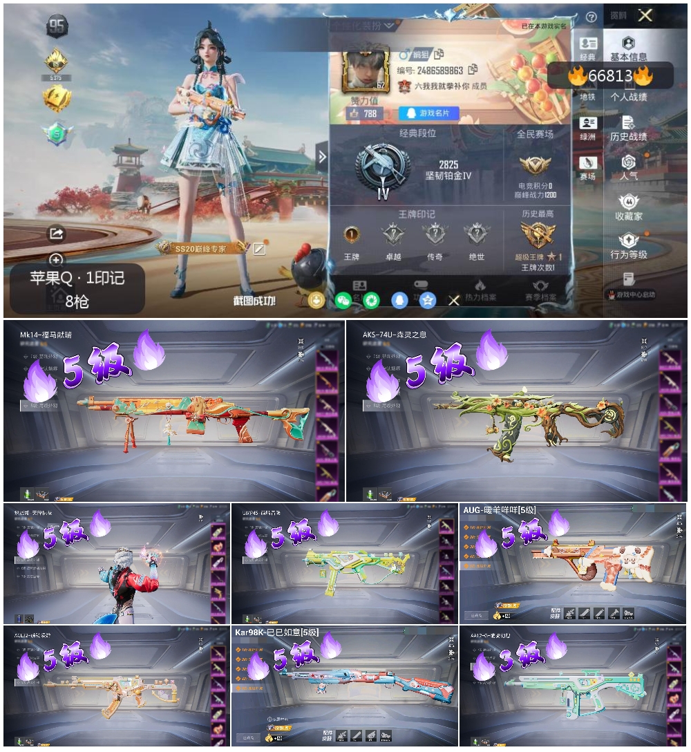 HPSJ4145110和平精英账号详情图4