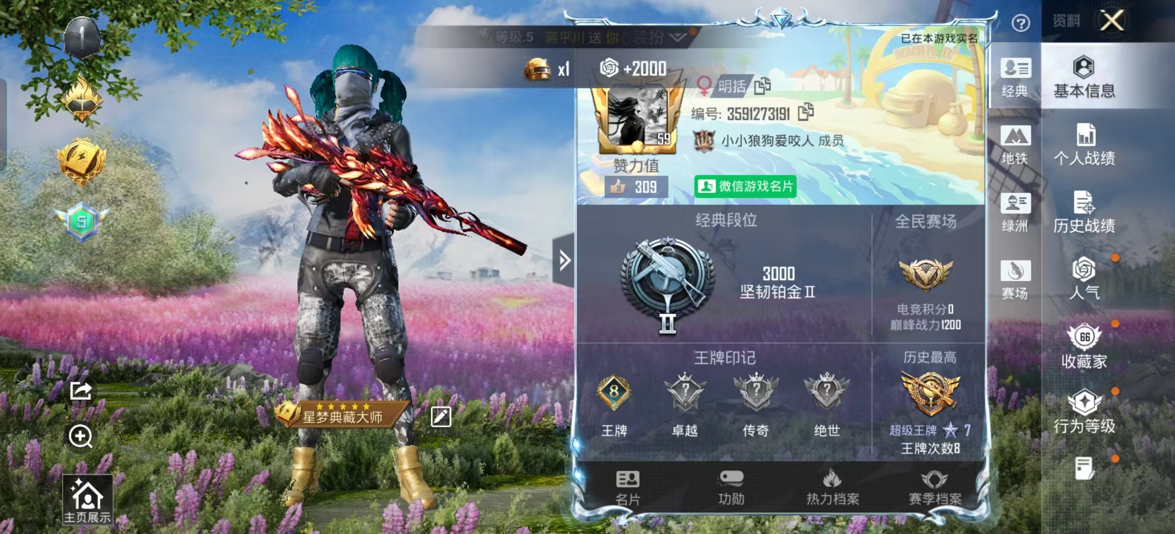 HPSJ4151105和平精英账号详情图3