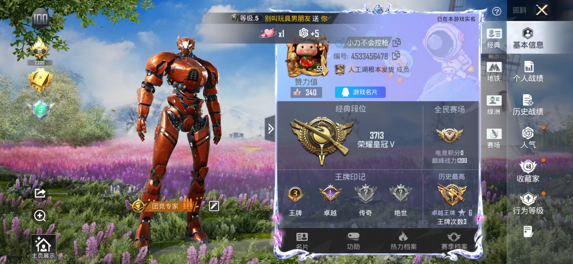 HPSJ4151134和平精英账号详情图3