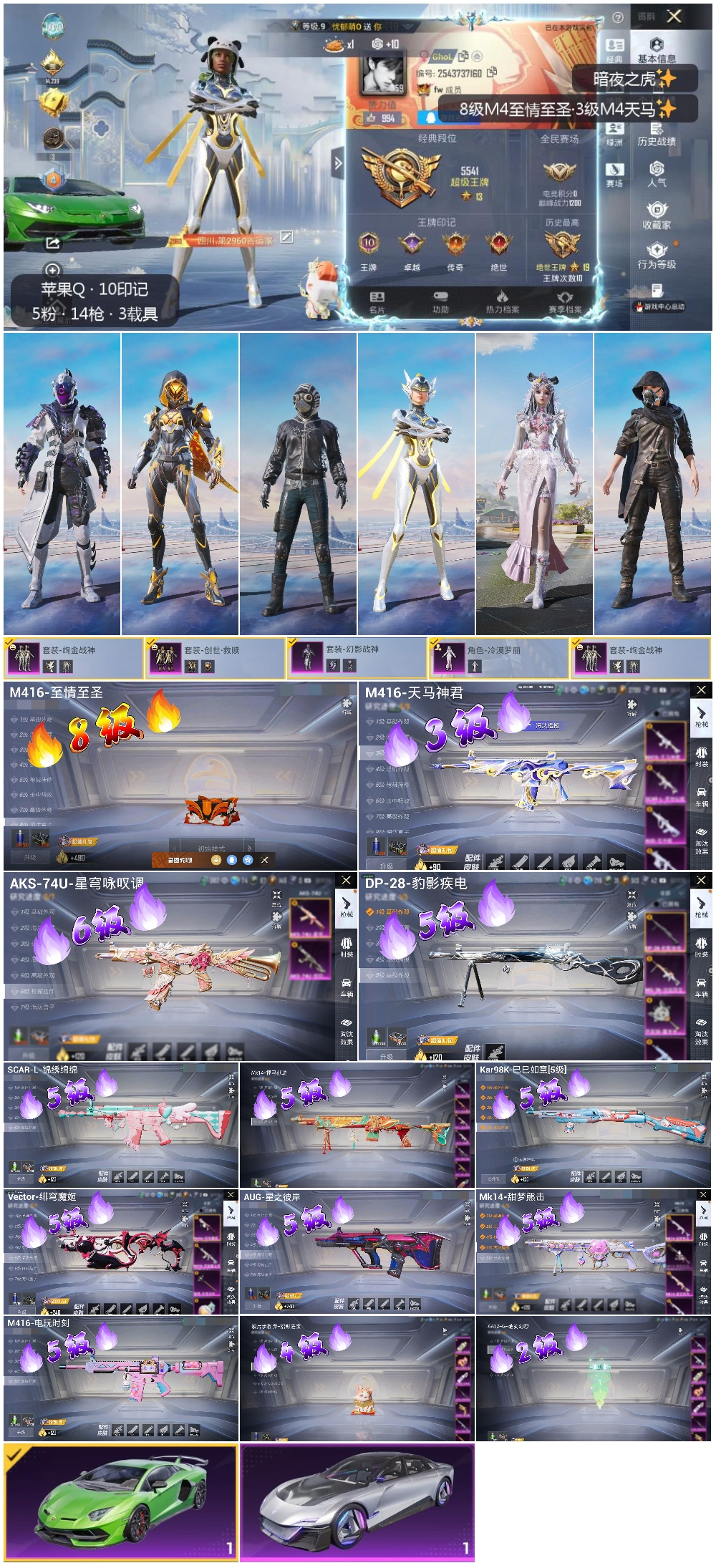 HPSJ4151163和平精英账号详情图4 HPSJ4151163和平精英账号详情图4