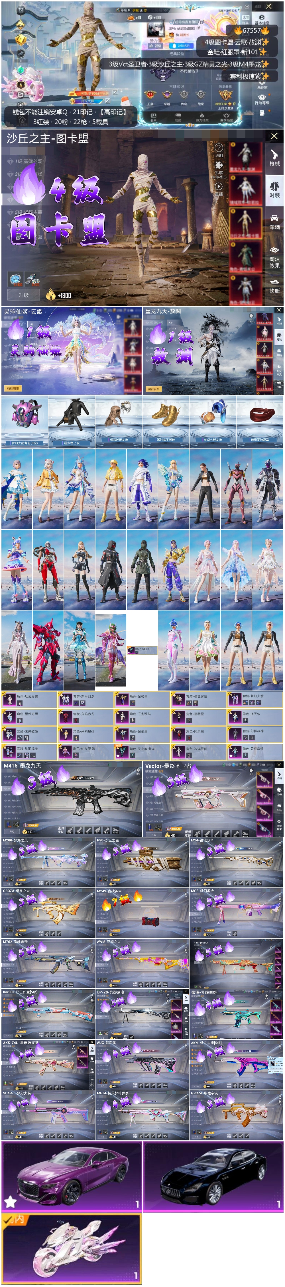 HPSJ4151036和平精英账号详情图4 HPSJ4151036和平精英账号详情图4