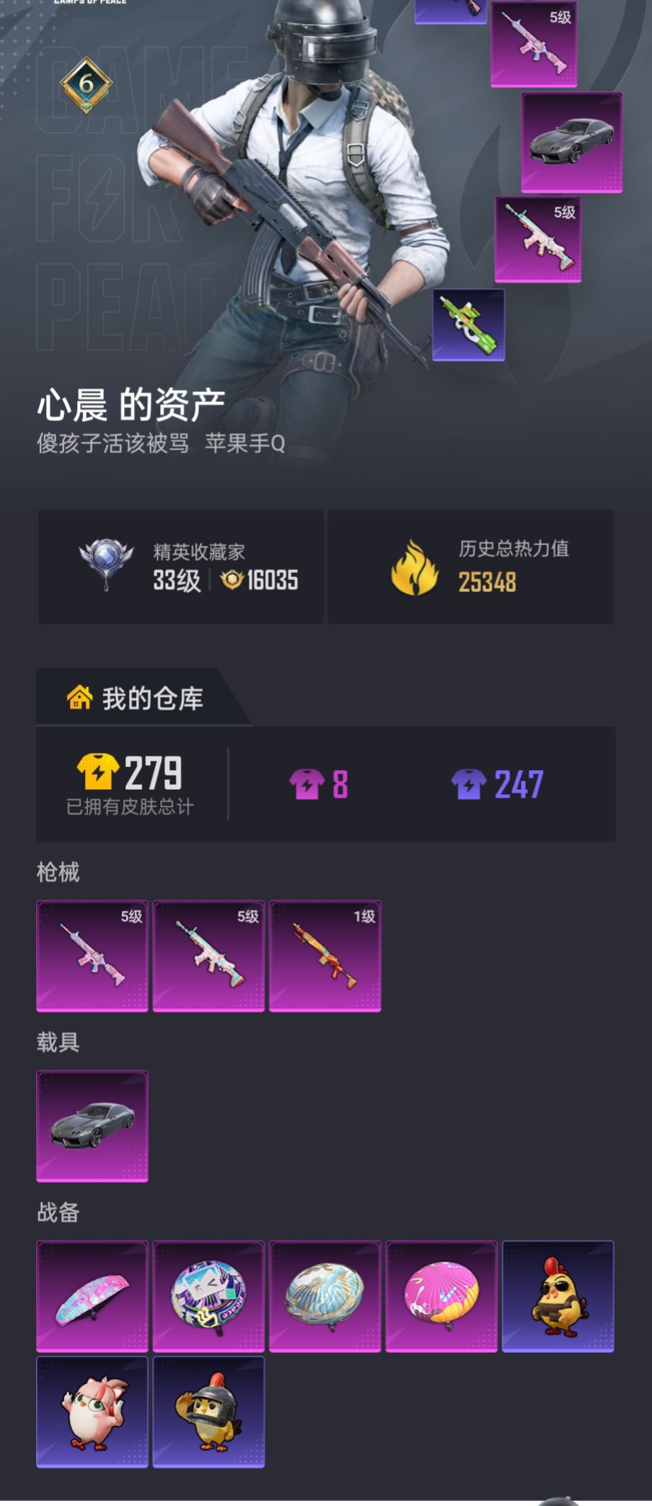 HPZM4160438和平精英账号详情图2