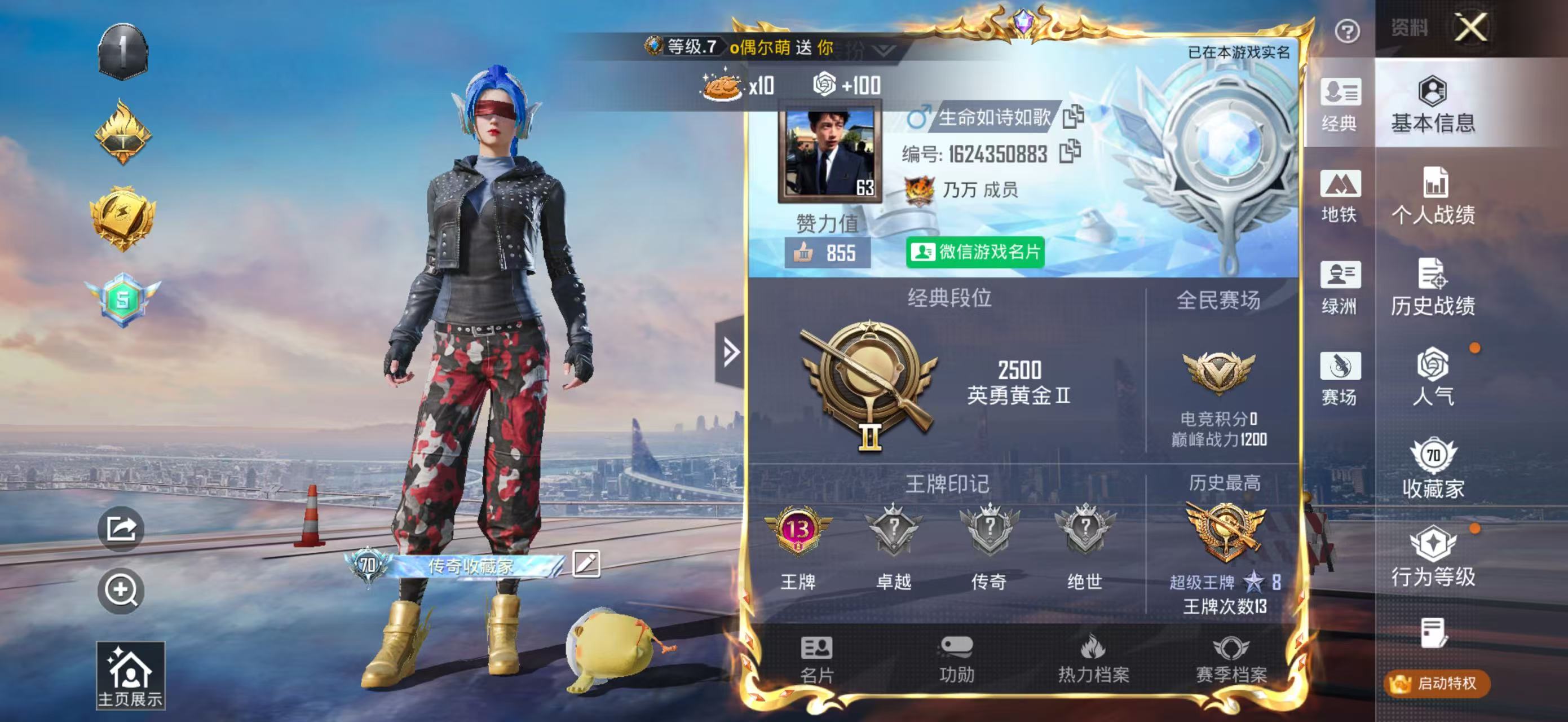 HPSJ4152603和平精英账号详情图3 HPSJ4152603和平精英账号详情图3