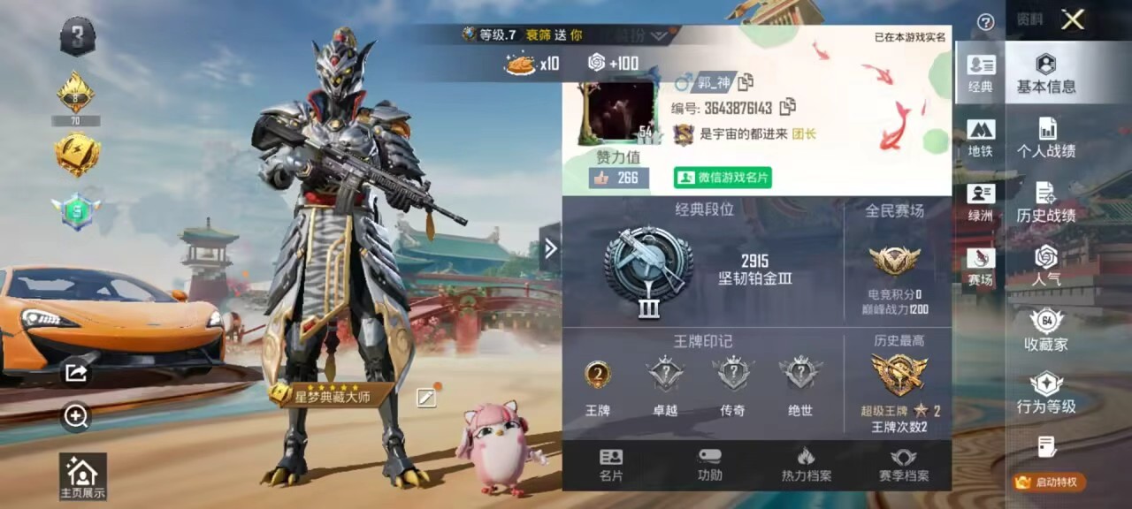 HPSJ4113461和平精英账号详情图3