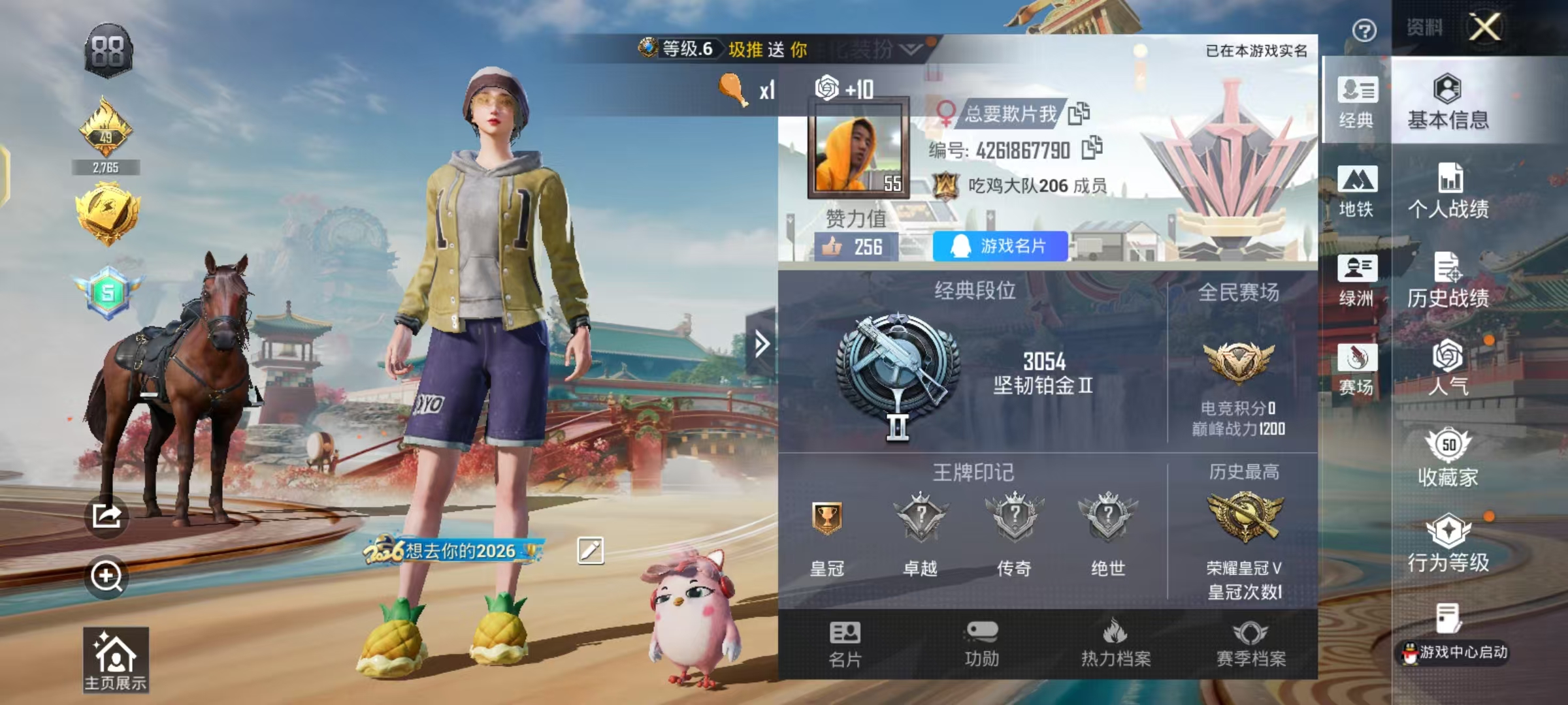 HPCMW4115026和平精英账号详情图3