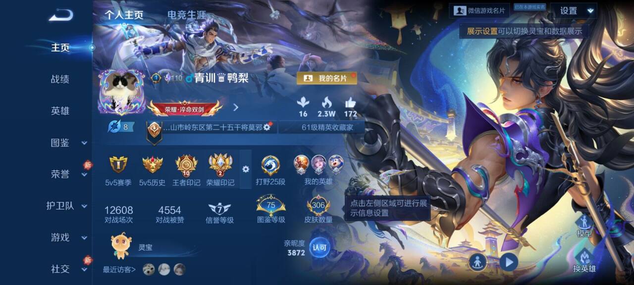 WZCMW4217540王者荣耀账号详情图2