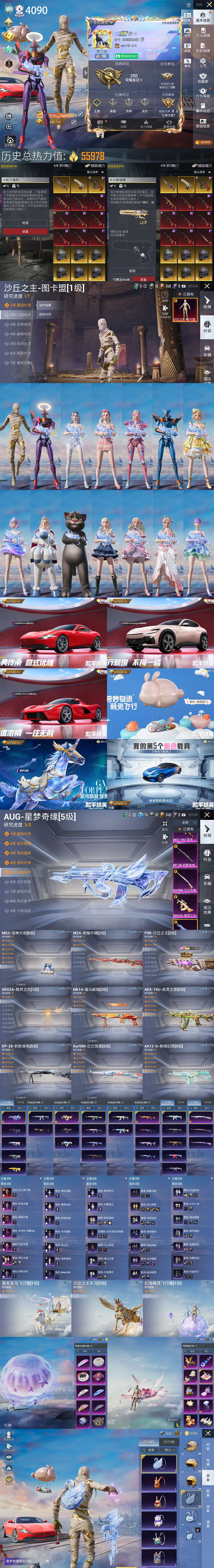 HPQM4115940和平精英账号详情图3