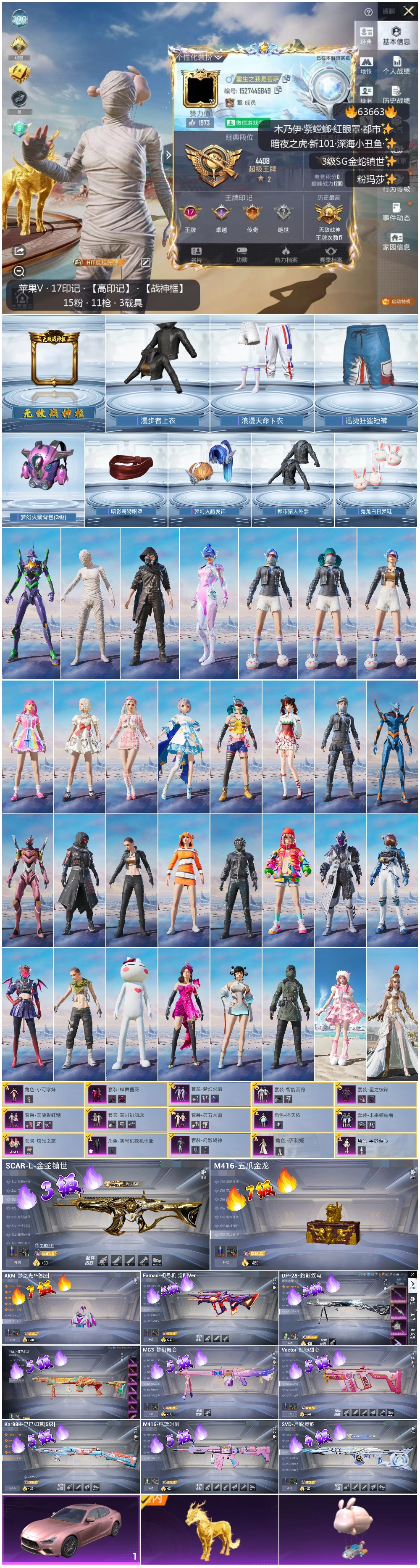 HPCMW4116517和平精英账号详情图4