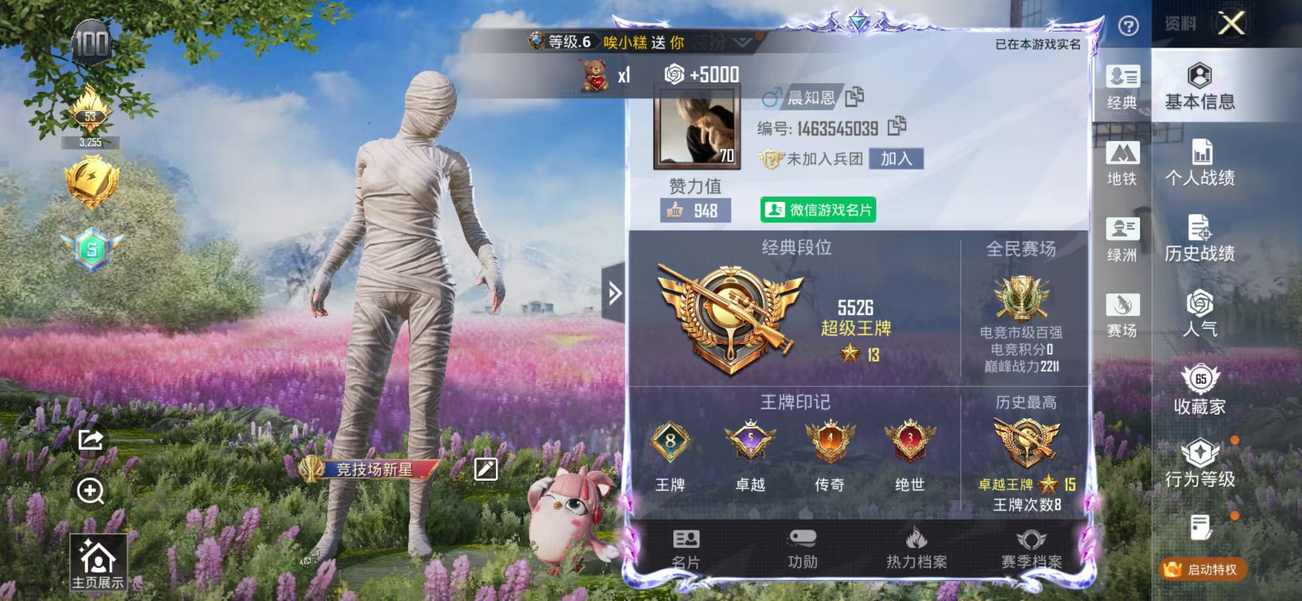 HPSJ4116292和平精英账号详情图3