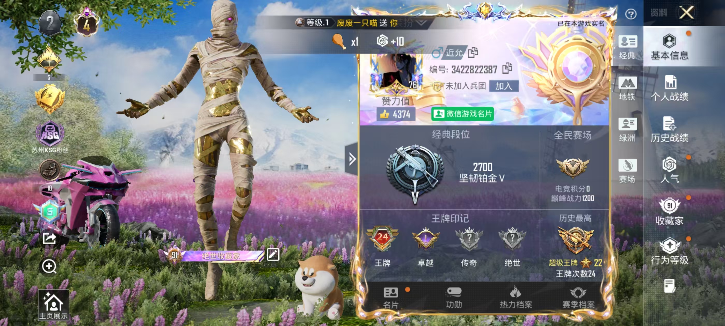 HPSJ4154435和平精英账号详情图3