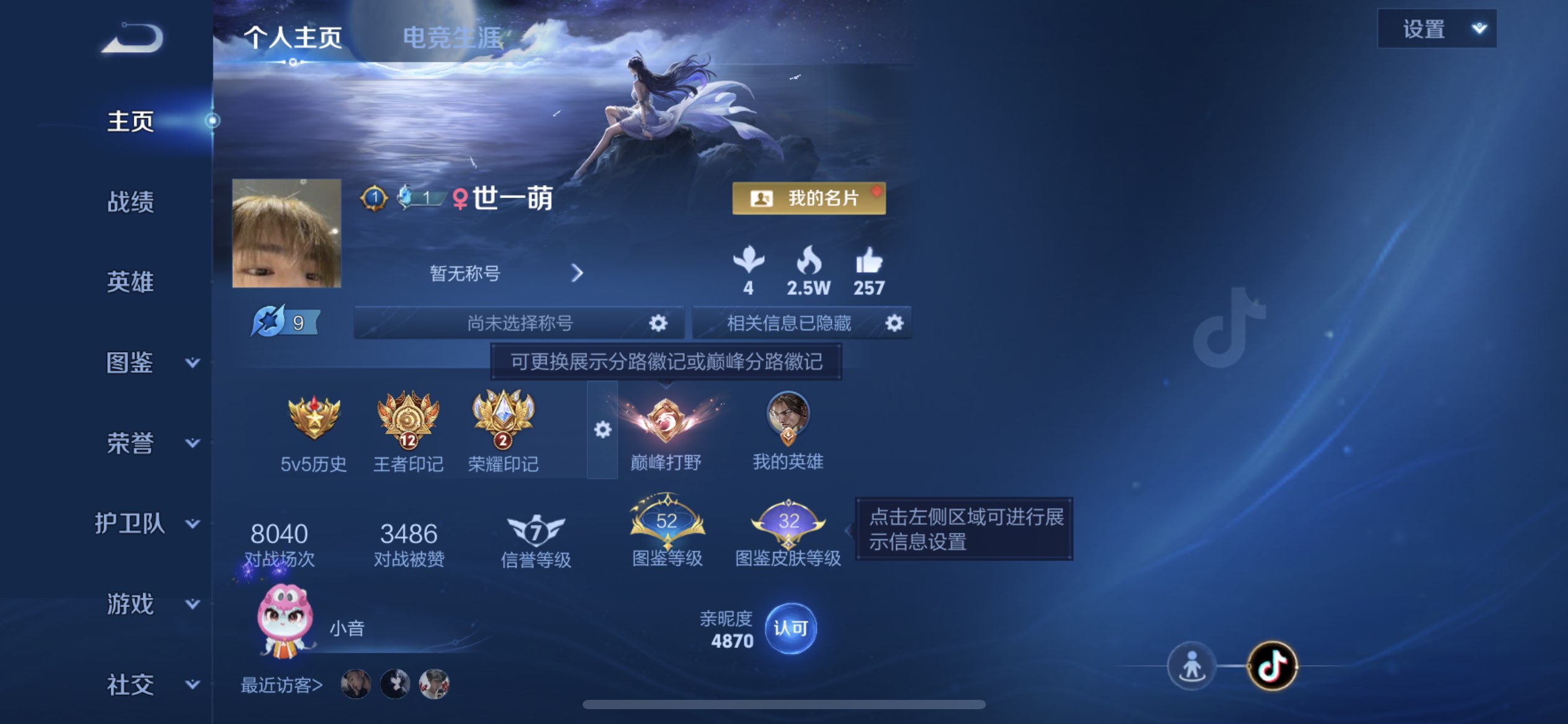 WZCMW4320796王者荣耀账号详情图1