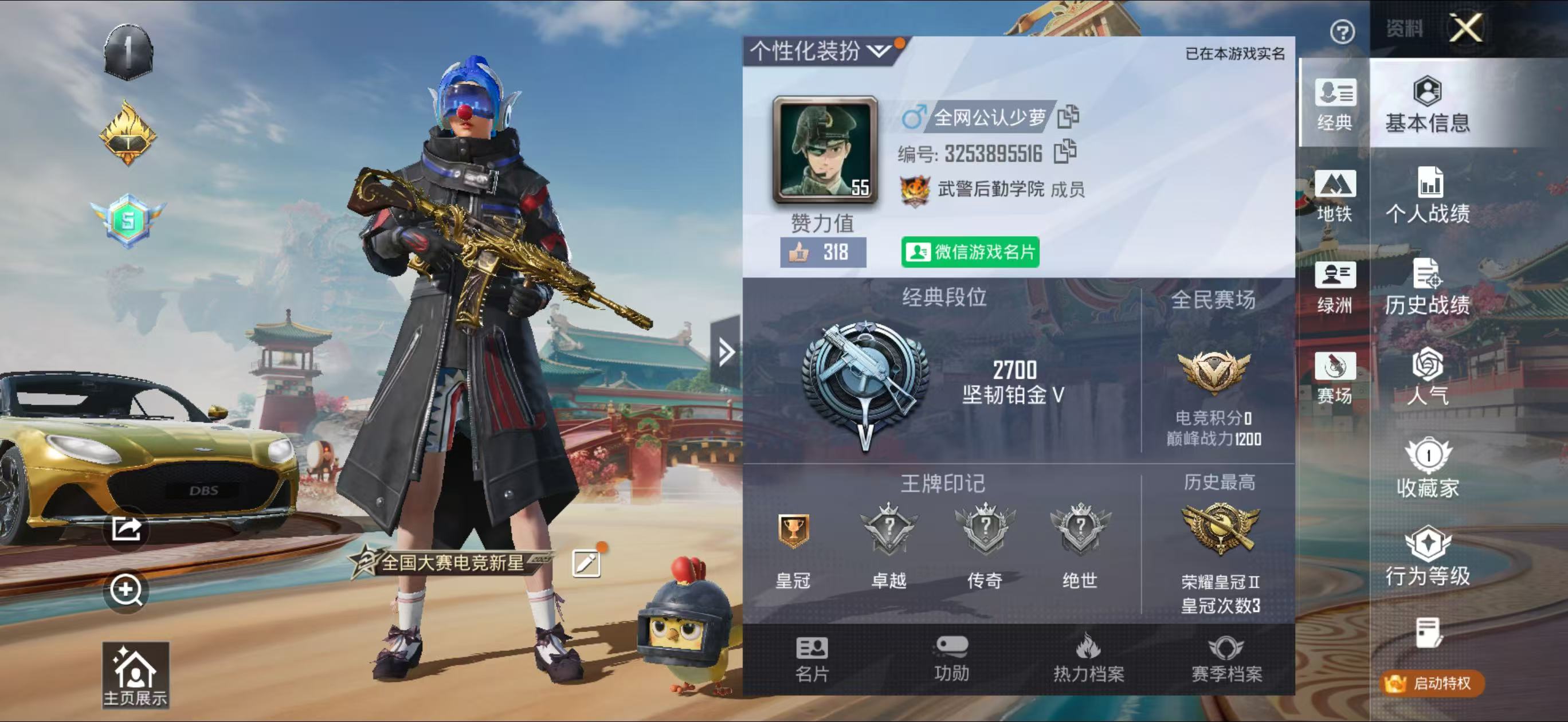 HPCMW4181727和平精英账号详情图2