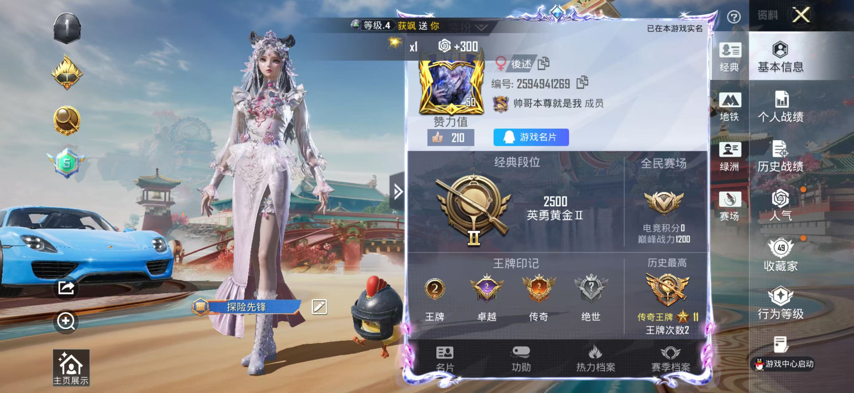 HPCMW4191144和平精英账号详情图2