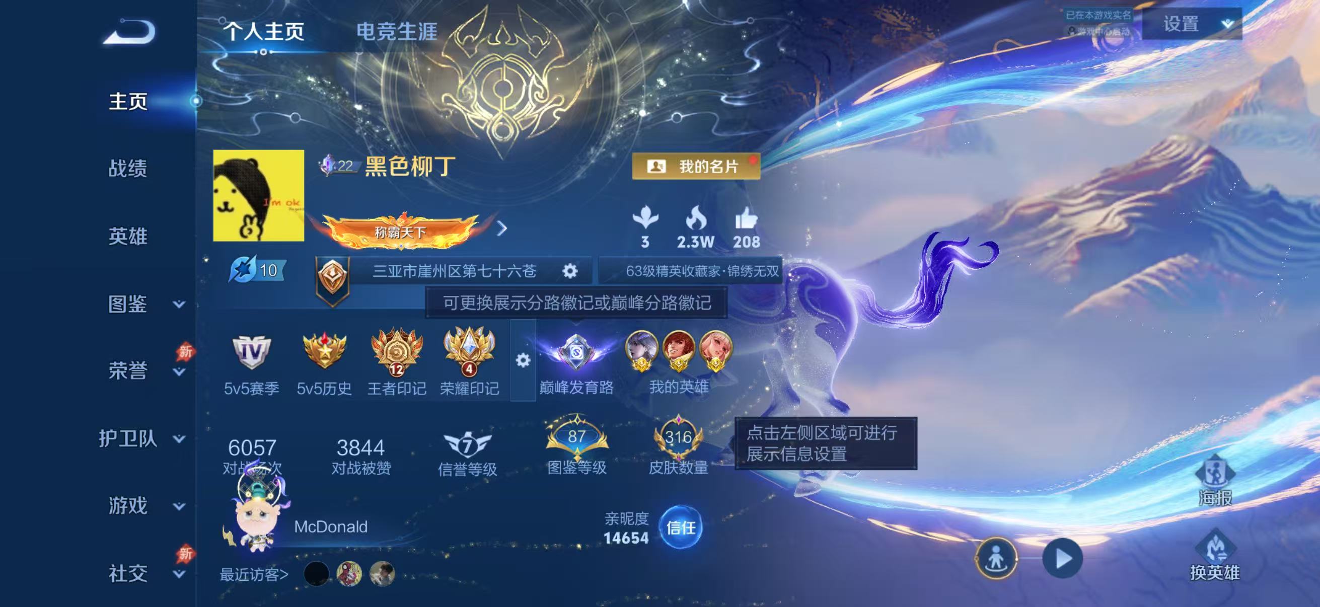 WZCMW4338935王者荣耀账号详情图1