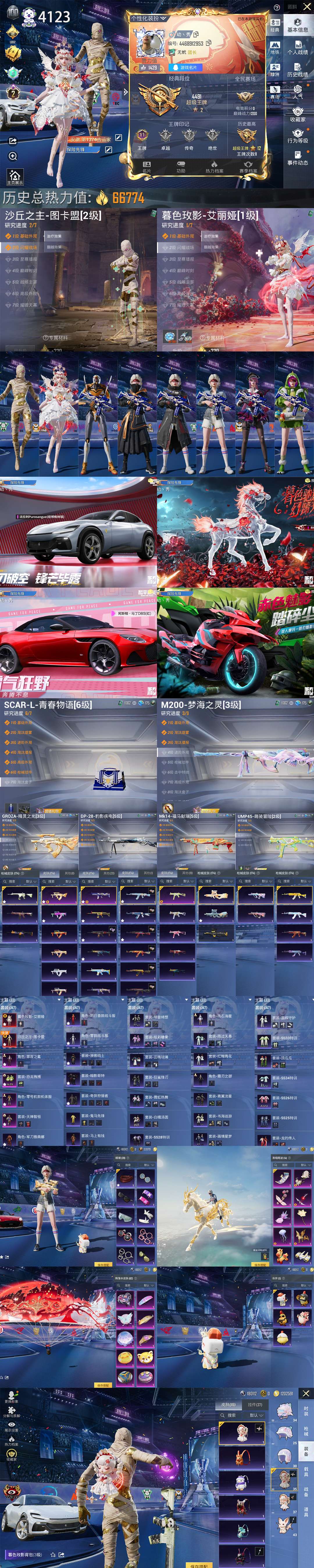 HPCMW4197519和平精英账号详情图1