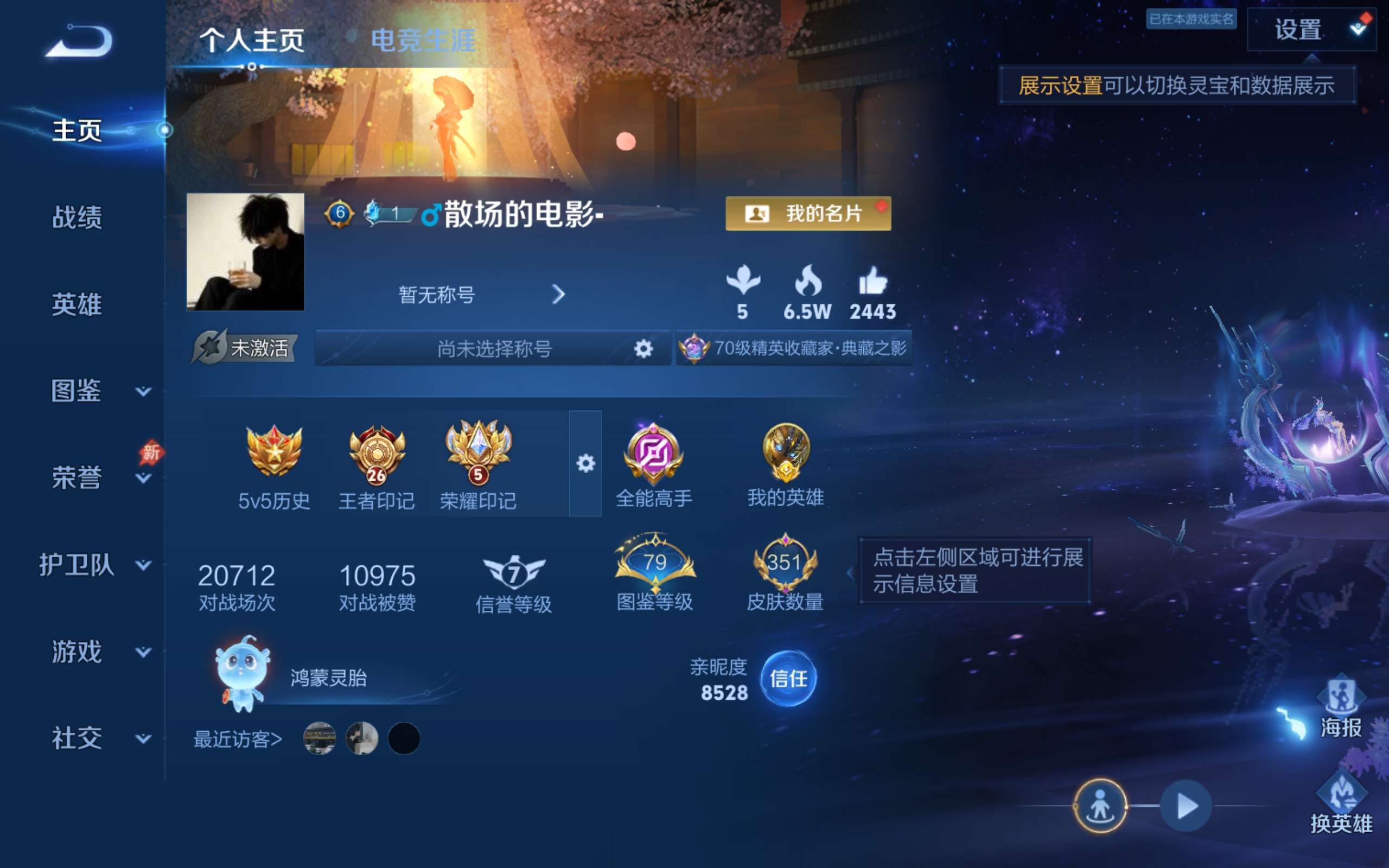 WZCMW4342567王者荣耀账号详情图1