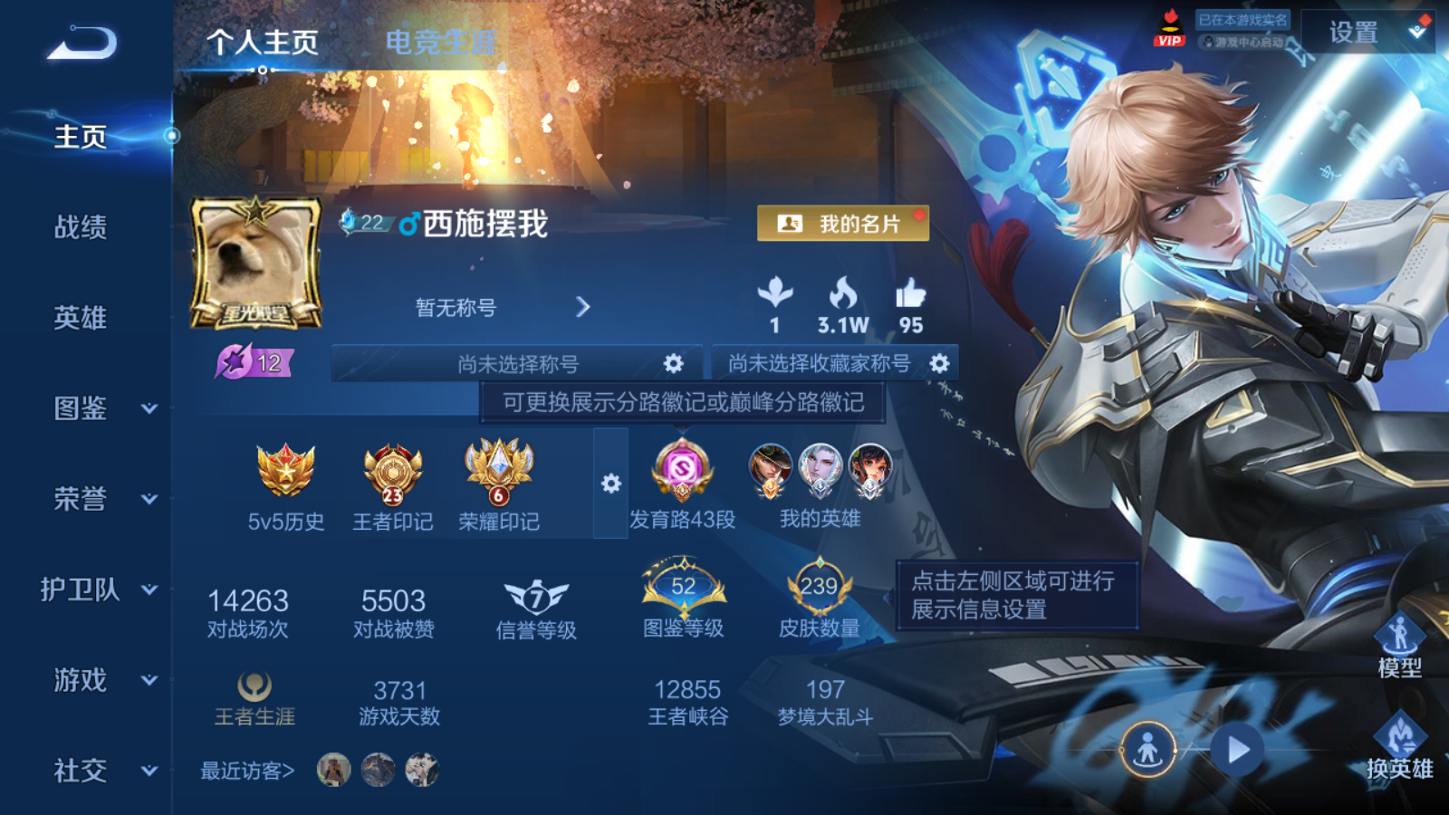 WZCMW4360497王者荣耀账号详情图2