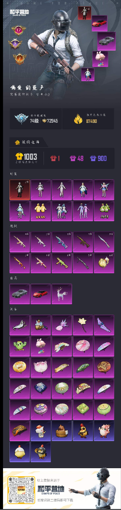 HPCMW4197144和平精英账号详情图20