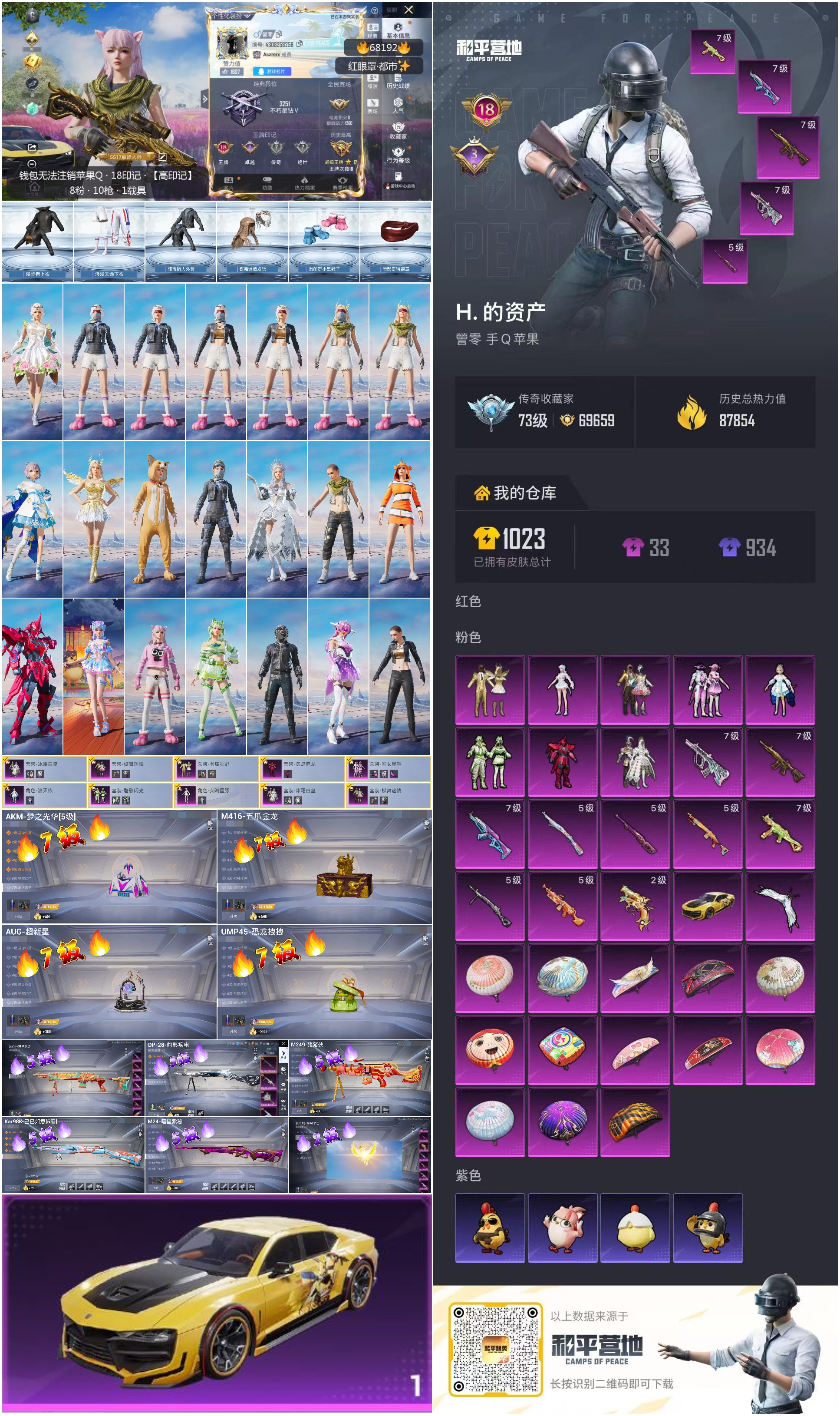 HPCMW4174393和平精英账号详情图3