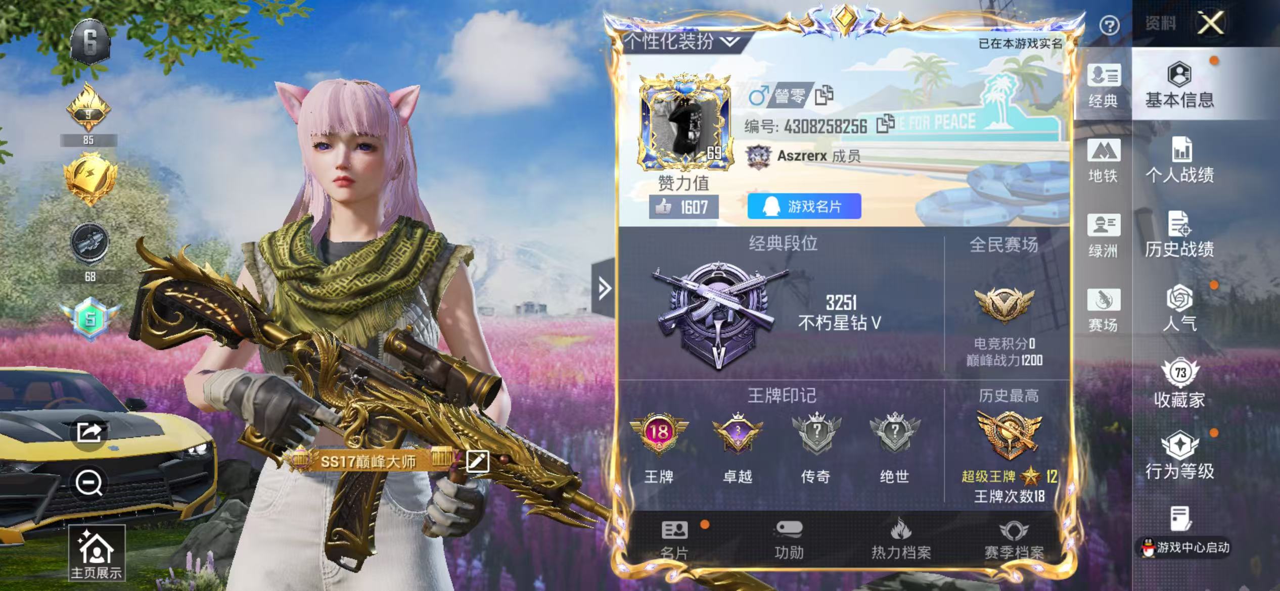 HPCMW4174393和平精英账号详情图2