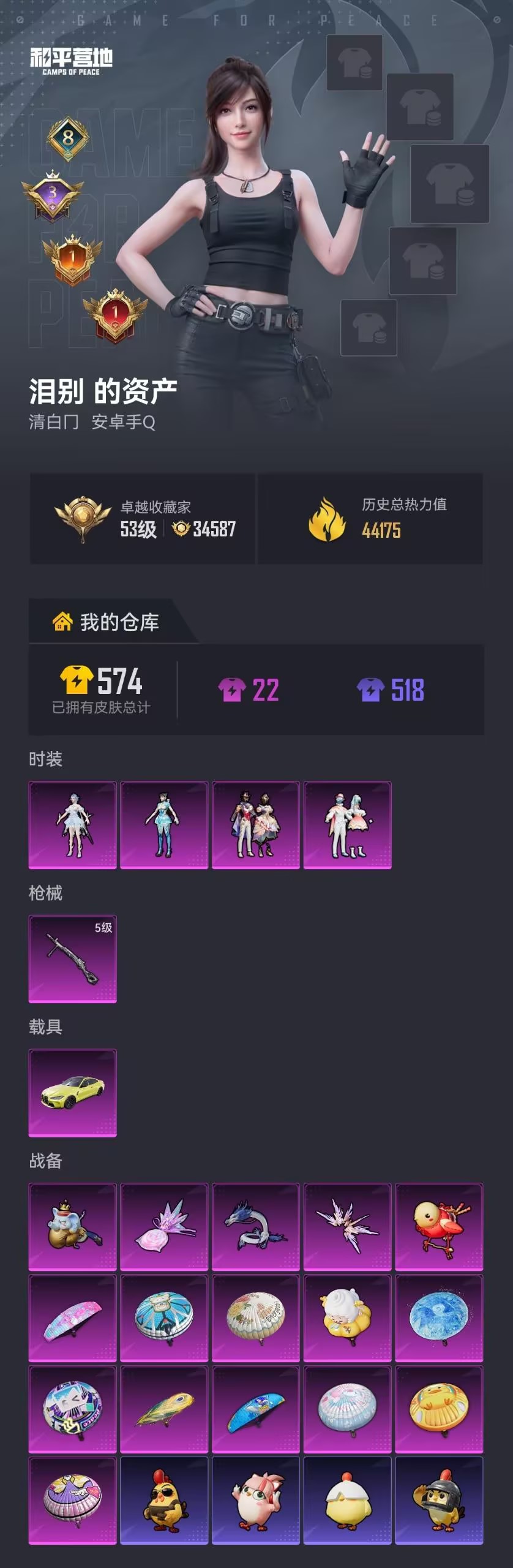 HPZM4177185和平精英账号详情图1