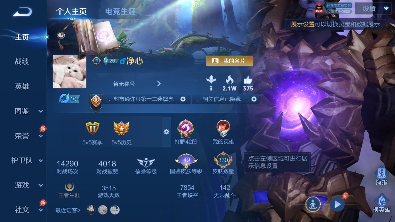 WZCMW4319077王者荣耀账号详情图1