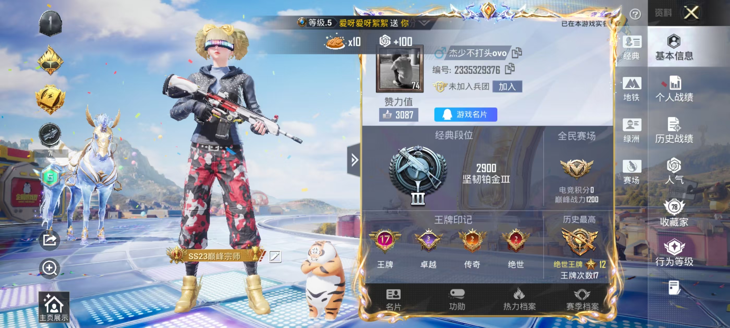大图